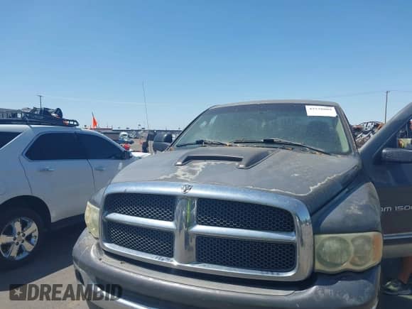 2002 Dodge 1500 with VIN 1D7HU18Z02S636110, listed as a IAAI auction lot 42538809 with 242,113 mi miles and . Bid and sale history available at DreamBid. Image 6.