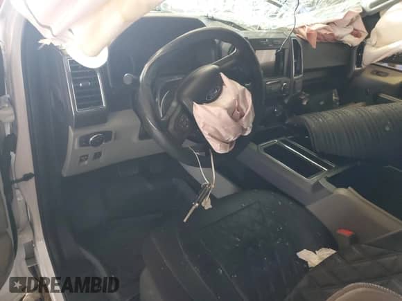 2019 Ford F-150 XL z VIN 1FTEW1CP4KFD10879, wystawiony jako Copart lot #80139085 z przebiegiem Nie podano mil oraz Szkoda całkowita • Salvage title. Historia ofert i sprzedaży dostępna na DreamBid. Obrazek 8.