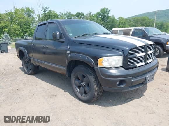 2004 Dodge 1500 SLT with VIN 1D7HU18D24S534850, listed as a IAAI auction lot 42442571 with Not provided miles and . Bid and sale history available at DreamBid. Image 1.