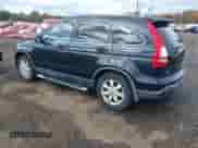 2007 Honda CR-V EX-L с VIN JHLRE48737C096848, выставлен на аукционе IAAI как лот 43501768 с пробегом 337 498 миль миль и . История ставок и продаж доступна на DreamBid. Изображение 3.