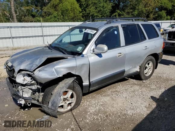 2002 Hyundai Santa Fe GLS z VIN KM8SC13D22U233146, wystawiony jako Copart lot #80273844 z przebiegiem 213 822 mil mil oraz Szkoda całkowita • Salvage title. Historia ofert i sprzedaży dostępna na DreamBid. Obrazek 1.