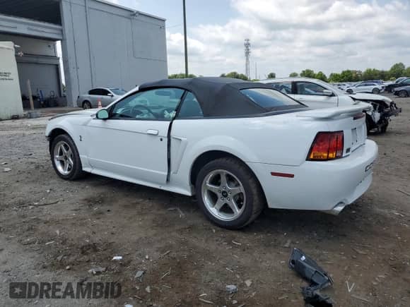 2001 Ford Mustang SVT Cobra with VIN 1FAFP46V61F243297, listed as a Copart auction lot 59659325 with 95,707 mi miles and Salvage title. Bid and sale history available at DreamBid. Image 2.