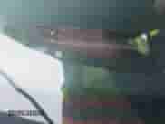 2011 Chevrolet Malibu 1LT z VIN 1G1ZC5E16BF374103, wystawiony jako IAAI lot #43465854 z przebiegiem 153 190 mil mil oraz . Historia ofert i sprzedaży dostępna na DreamBid. Obrazek 9.