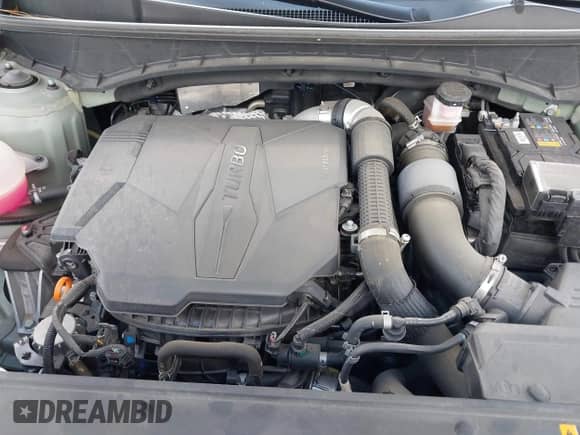 2023 Hyundai Santa Cruz SEL Premium с VIN 5NTJDDAF8PH066796, выставлен на аукционе IAAI как лот 42407955 с пробегом 30 622 миль миль и . История ставок и продаж доступна на DreamBid. Изображение 10.