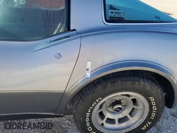 1978 Chevrolet Corvette с VIN 1Z87L8S422622, выставлен на аукционе Copart как лот 77949424 с пробегом Не указан миль и Списание • Salvage title. История ставок и продаж доступна на DreamBid. Изображение 12.