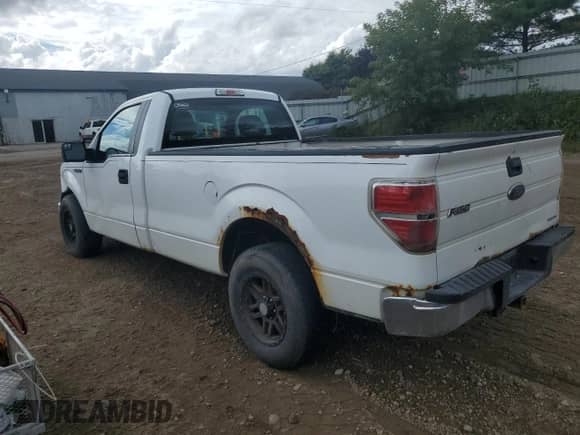 2013 Ford F-150 XL with VIN 1FTMF1CM7DKD22584, listed as a Copart auction lot 81708305 with 303,985 mi miles and Salvage title. Bid and sale history available at DreamBid. Image 2.