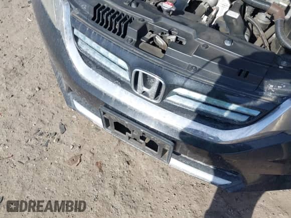 2014 Honda Accord EX-L with VIN 1HGCR6F59EA001370, listed as a IAAI auction lot 41448289 with 167,397 mi miles and . Bid and sale history available at DreamBid. Image 10.