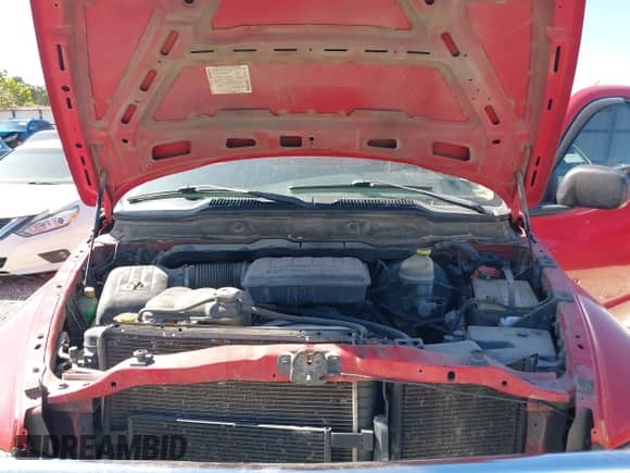 2003 Dodge 1500 ST with VIN 1D7HA16K63J581605, listed as a IAAI auction lot 43466098 with 305,191 mi miles and . Bid and sale history available at DreamBid. Image 10.