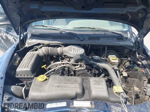 2000 Dodge Dakota Sport with VIN 1B7GL2AX8YS783520, listed as a IAAI auction lot 43277615 with 303,682 mi miles and . Bid and sale history available at DreamBid. Image 10.