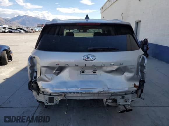 2021 Hyundai Palisade SEL with VIN KM8R4DHE2MU309580, listed as a Copart auction lot 81516505 with 96,023 mi miles and Salvage title. Bid and sale history available at DreamBid. Image 6.