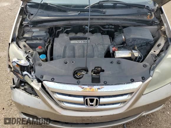 2005 Honda Odyssey LX with VIN 5FNRL38225B067925, listed as a Copart auction lot 66156145 with 177,672 mi miles and Salvage title. Bid and sale history available at DreamBid. Image 12.