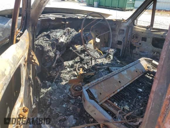 1994 Ford F-150 z VIN 1FTEF15N0RNA30825, wystawiony jako Copart lot #70665385 z przebiegiem Nie podano mil oraz Szkoda całkowita • Salvage title. Historia ofert i sprzedaży dostępna na DreamBid. Obrazek 8.