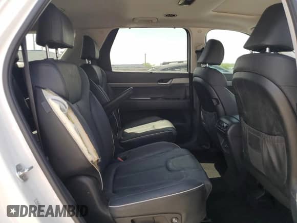 2024 Hyundai Palisade XRT с VIN KM8R34GE5RU689381, выставлен на аукционе Copart как лот 62233315 с пробегом 24 250 миль миль и Списание • Salvage title. История ставок и продаж доступна на DreamBid. Изображение 11.
