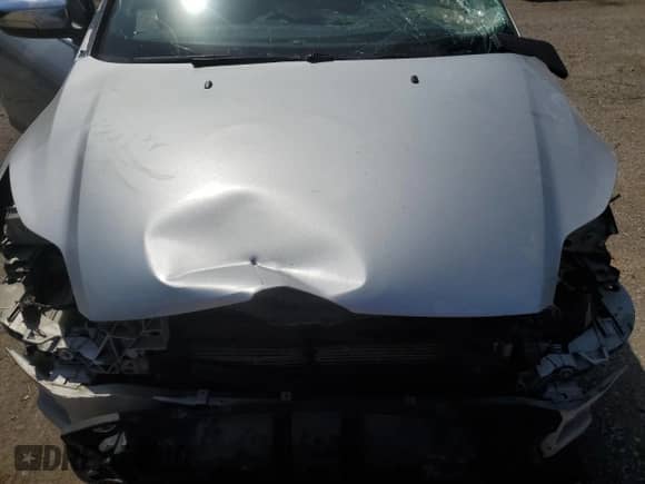 2013 Ford Focus Titanium with VIN 1FADP3J26DL334543, listed as a Copart auction lot 69324055 with Not provided miles and Salvage title. Bid and sale history available at DreamBid. Image 11.