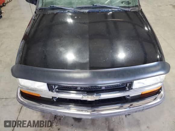 2001 Chevrolet S-10 LS with VIN 1GCDT13W11K256412, listed as a Copart auction lot 53254215 with 162,082 mi miles and Clean title. Bid and sale history available at DreamBid. Image 11.