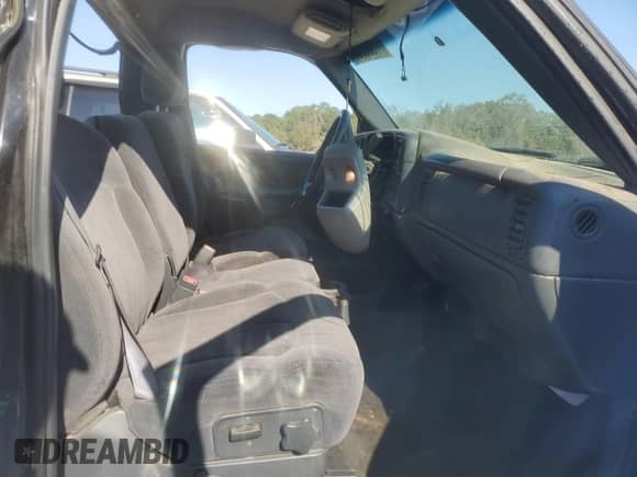 2002 Chevrolet Silverado 1500 LS with VIN 1GCEC14T12Z284311, listed as a Copart auction lot 77383804 with 249,355 mi miles and Salvage title. Bid and sale history available at DreamBid. Image 7.