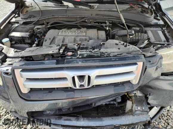 2006 Honda Pilot EX-L z VIN 5FNYF28756B042642, wystawiony jako Copart lot #83956365 z przebiegiem 221 058 mil mil oraz Szkoda całkowita • Salvage title. Historia ofert i sprzedaży dostępna na DreamBid. Obrazek 11.