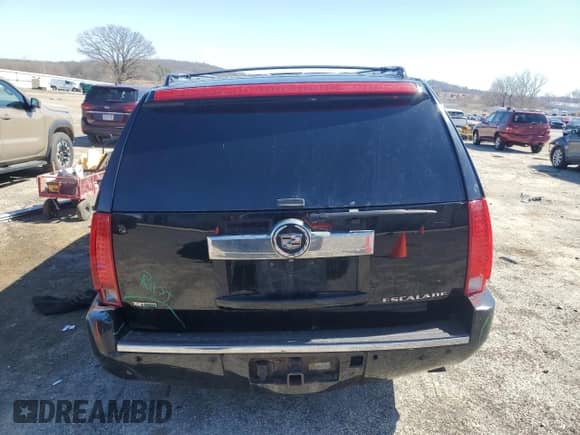 2010 Cadillac Escalade ESV Premium with VIN 1GYUKJEF4AR112581, listed as a Copart auction lot 50363955 with 209,412 mi miles and Non repairable. Bid and sale history available at DreamBid. Image 6.
