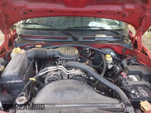 1998 Dodge Dakota SLT с VIN 1B7GL22X2WS691119, выставлен на аукционе IAAI как лот 41056451 с пробегом 219 224 миль миль и . История ставок и продаж доступна на DreamBid. Изображение 10.