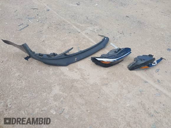 2025 Hyundai Elantra SEL Convenience с VIN KMHLS4DG7SU912444, выставлен на аукционе IAAI как лот 43267583 с пробегом 18 735 миль миль и . История ставок и продаж доступна на DreamBid. Изображение 12.