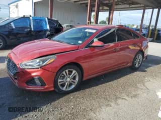 2019 Hyundai Sonata SEL with VIN 5NPE34AF2KH769189, listed as a Copart auction lot 70811625 with 73,443 mi miles and Salvage title. Bid and sale history available at DreamBid. Image 1.