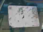 1994 Chevrolet Camaro z VIN 2G1FP32S3R2187437, wystawiony jako Copart lot #55078385 z przebiegiem 113 287 mil mil oraz Czysty tytuł • Clean title. Historia ofert i sprzedaży dostępna na DreamBid. Obrazek 12.