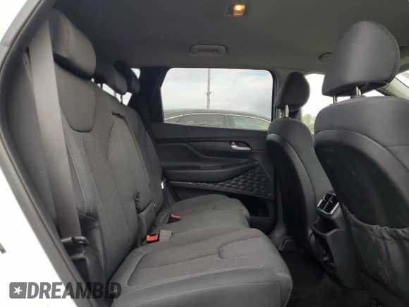 2019 Hyundai Santa Fe SE with VIN 5NMS2CAD0KH114024, listed as a Copart auction lot 81089655 with 115,577 mi miles and Salvage title. Bid and sale history available at DreamBid. Image 11.