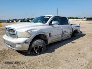 2010 Dodge 1500 SLT with VIN 1D7RB1CT2AS160261, listed as a Copart auction lot 71247995 with 253,244 mi miles and Salvage title. Bid and sale history available at DreamBid. Image 1.