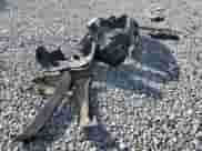 2022 Nissan Frontier S с VIN 1N6ED1CLXNN616351, выставлен на аукционе Copart как лот 86123965 с пробегом 50 479 миль миль и На запчасти • Non repairable. История ставок и продаж доступна на DreamBid. Изображение 12.