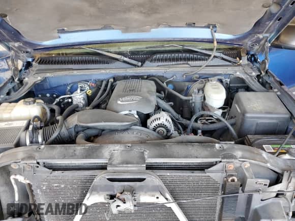 2003 Chevrolet Silverado 1500 LS with VIN 1GCEK14V93Z284241, listed as a Copart auction lot 42791325 with 199,776 mi miles and Salvage title. Bid and sale history available at DreamBid. Image 12.