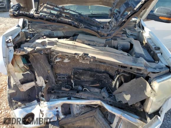 2009 Ford F-150 XL z VIN 1FTRW12889KA45509, wystawiony jako Copart lot #83948885 z przebiegiem 430 139 mil mil oraz Szkoda całkowita • Salvage title. Historia ofert i sprzedaży dostępna na DreamBid. Obrazek 11.