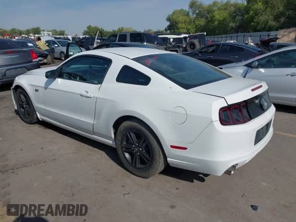 2014 Ford Mustang Premium with VIN 1ZVBP8AM7E5259273, listed as a IAAI auction lot 43142606 with 51,527 mi miles and . Bid and sale history available at DreamBid. Image 3.