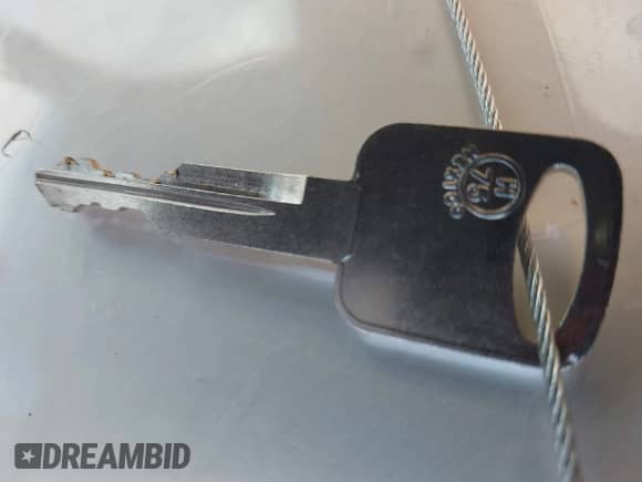 2000 Ford F-150 XL with VIN 1FTRX18L5YNA04731, listed as a IAAI auction lot 43348989 with Not provided miles and . Bid and sale history available at DreamBid. Image 11.