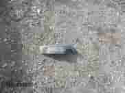 2019 Ram 1500 Big Horn z VIN 1C6RREFT4KN819859, wystawiony jako IAAI lot #43292595 z przebiegiem 88 477 mil mil oraz . Historia ofert i sprzedaży dostępna na DreamBid. Obrazek 12.