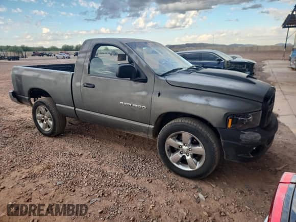 2005 Dodge 1500 ST z VIN 1D7HA16K15J646024, wystawiony jako Copart lot #84194235 z przebiegiem 147 945 mil mil oraz Szkoda całkowita • Salvage title. Historia ofert i sprzedaży dostępna na DreamBid. Obrazek 4.