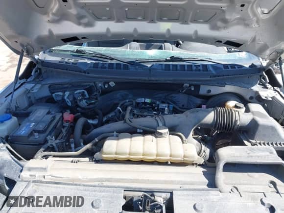 2019 Ford F-150 XL with VIN 1FTMF1CPXKKC81522, listed as a IAAI auction lot 41763416 with 375,402 mi miles and . Bid and sale history available at DreamBid. Image 10.