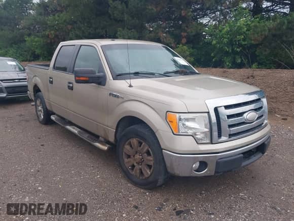 2009 Ford F-150 XL with VIN 1FTRW12889FA44630, listed as a IAAI auction lot 42434615 with 266,580 mi miles and . Bid and sale history available at DreamBid. Image 1.