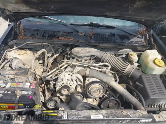 1998 Jeep Grand Cherokee Limited с VIN 1J4GZ78Y2WC238327, выставлен на аукционе IAAI как лот 43418556 с пробегом 189 779 миль миль и . История ставок и продаж доступна на DreamBid. Изображение 10.