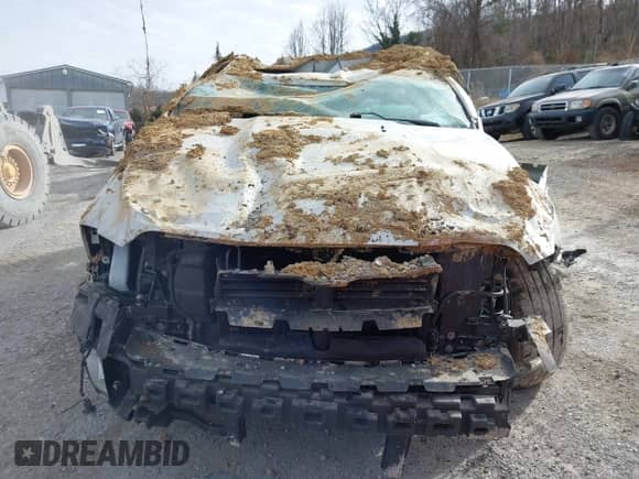 2017 Ram 1500 Tradesman z VIN 1C6RR6FG0HS570267, wystawiony jako IAAI lot #41459174 z przebiegiem Nie podano mil oraz . Historia ofert i sprzedaży dostępna na DreamBid. Obrazek 13.