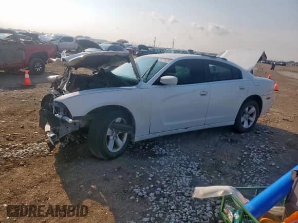 2014 Dodge Charger SE with VIN 2C3CDXBG9EH215954, listed as a Copart auction lot 69775255 with 256,827 mi miles and Salvage title. Bid and sale history available at DreamBid. Image 1.