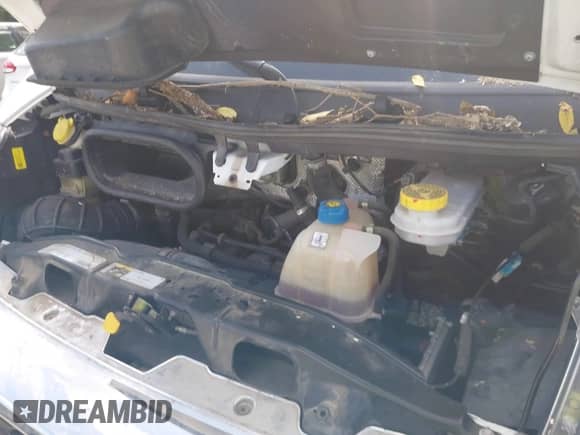 2021 Ram ProMaster Cargo с VIN 3C6LRVAG4ME553606, выставлен на аукционе IAAI как лот 40090330 с пробегом 78 836 миль миль и . История ставок и продаж доступна на DreamBid. Изображение 10.