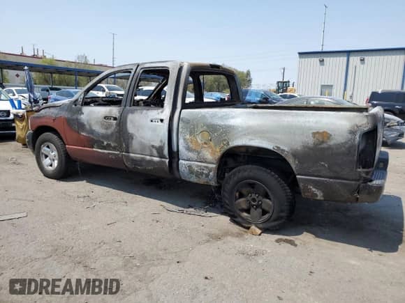 2003 Dodge 1500 ST with VIN 1D7HA18N13J597511, listed as a Copart auction lot 64385565 with Not provided miles and Salvage title. Bid and sale history available at DreamBid. Image 2.
