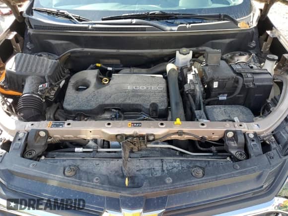 2019 Chevrolet Equinox LT z VIN 2GNAXJEV0K6282412, wystawiony jako Copart lot #83939005 z przebiegiem 77 088 mil mil oraz Szkoda całkowita • Salvage title. Historia ofert i sprzedaży dostępna na DreamBid. Obrazek 11.