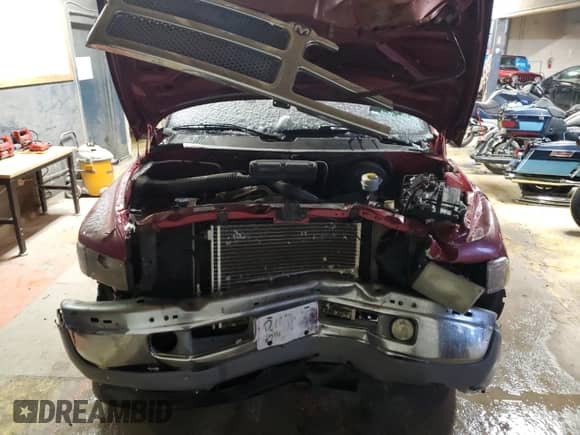 1999 Dodge 1500 with VIN 1B7HF16Z9XS265494, listed as a Copart auction lot 88460845 with 191,864 mi miles and Salvage title. Bid and sale history available at DreamBid. Image 5.