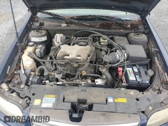 1999 Chevrolet Malibu LS с VIN 1G1NE52J6X6250093, выставлен на аукционе Copart как лот 64425934 с пробегом 118 262 миль миль и Списание • Salvage title. История ставок и продаж доступна на DreamBid. Изображение 12.