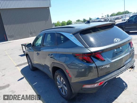 2024 Hyundai Tucson Blue with VIN KM8JBCD18RU194782, listed as a IAAI auction lot 42819566 with 10,356 mi miles and . Bid and sale history available at DreamBid. Image 3.