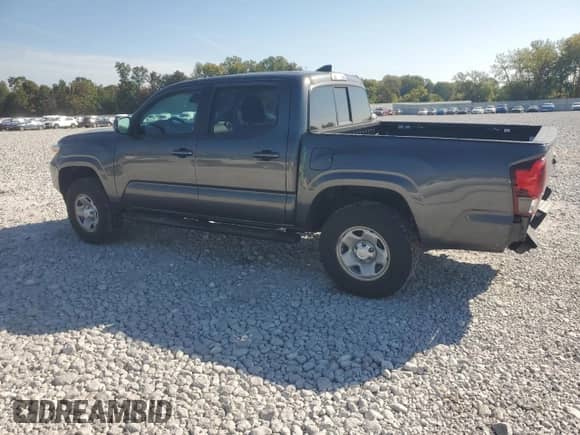 2019 Toyota Tacoma SR with VIN 3TMCZ5AN4KM252635, listed as a Copart auction lot 80724215 with 87,478 mi miles and Salvage title. Bid and sale history available at DreamBid. Image 2.