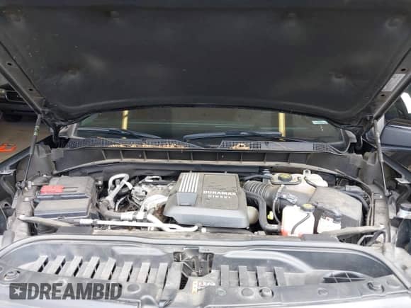 2022 Chevrolet Silverado 1500 RST with VIN 1GCUDEET8NZ622077, listed as a IAAI auction lot 42713780 with 46,022 mi miles and . Bid and sale history available at DreamBid. Image 10.