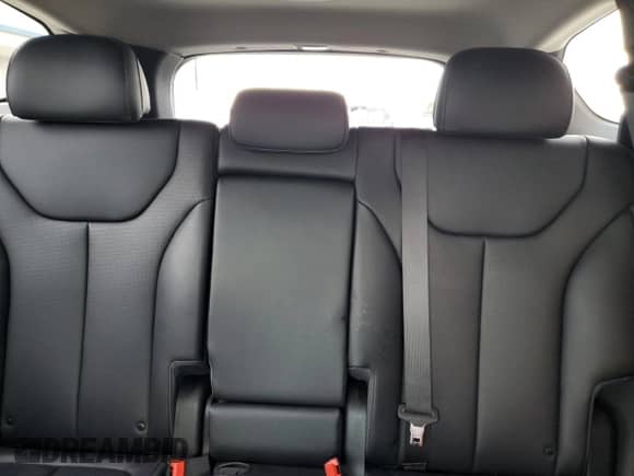 2023 Hyundai Santa Fe SEL Premium with VIN 5NMS3DA1XPH015646, listed as a Copart auction lot 80356775 with Not provided miles and Salvage title. Bid and sale history available at DreamBid. Image 10.