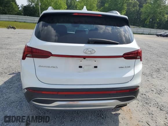 2021 Hyundai Santa Fe Limited with VIN 5NMS4DAL9MH339889, listed as a Copart auction lot 55283765 with 40,173 mi miles and Salvage title. Bid and sale history available at DreamBid. Image 6.